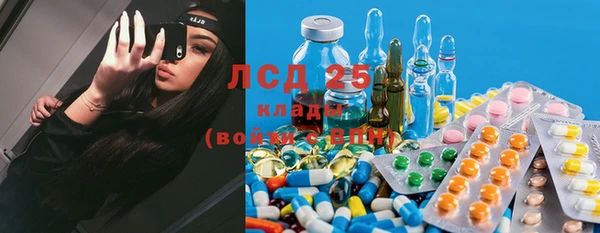 прущие крисы Алзамай